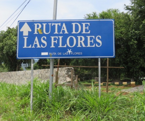 Ruta de las Flores - 1 of 22